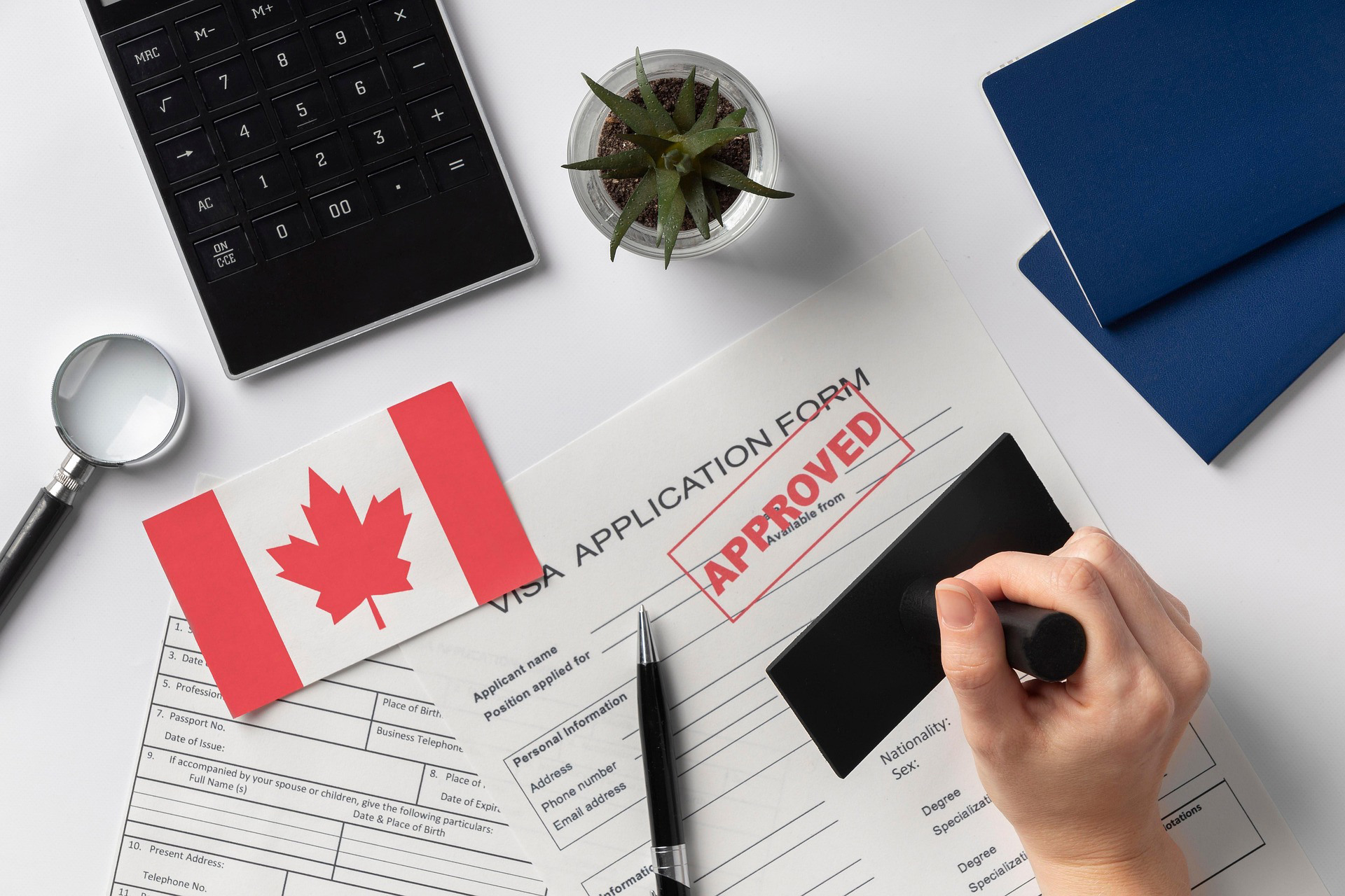 Immigration consultancy commitment